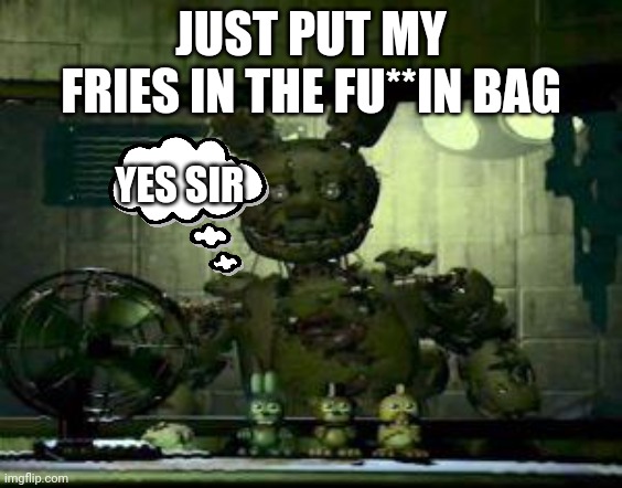 I got chica mcchicken fries | JUST PUT MY FRIES IN THE FU**IN BAG; YES SIR | image tagged in fnaf springtrap in window | made w/ Imgflip meme maker