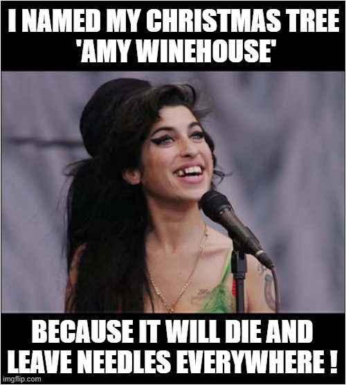 Some Festive Dark Humour ! | I NAMED MY CHRISTMAS TREE
 'AMY WINEHOUSE'; BECAUSE IT WILL DIE AND LEAVE NEEDLES EVERYWHERE ! | image tagged in christmas tree,amy winehouse,needles,play on words,dark humour | made w/ Imgflip meme maker