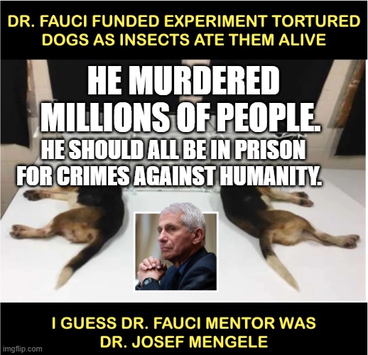 Fauci torturing dogs | HE SHOULD ALL BE IN PRISON FOR CRIMES AGAINST HUMANITY. HE MURDERED MILLIONS OF PEOPLE. | image tagged in fauci torturing dogs | made w/ Imgflip meme maker