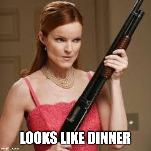 wife with a shotgun | LOOKS LIKE DINNER | image tagged in wife with a shotgun | made w/ Imgflip meme maker