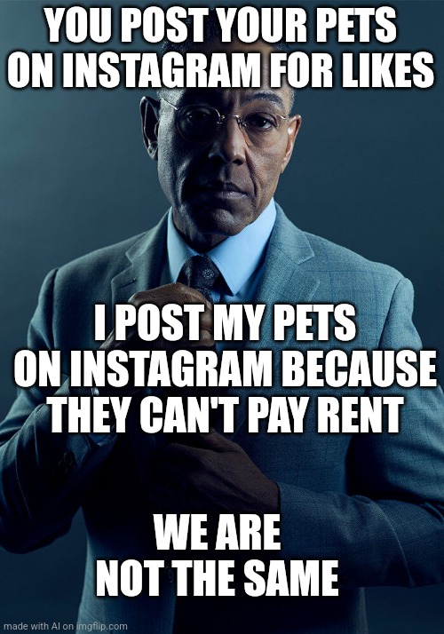 Gus Fring we are not the same | YOU POST YOUR PETS ON INSTAGRAM FOR LIKES; I POST MY PETS ON INSTAGRAM BECAUSE THEY CAN'T PAY RENT; WE ARE NOT THE SAME | image tagged in gus fring we are not the same | made w/ Imgflip meme maker