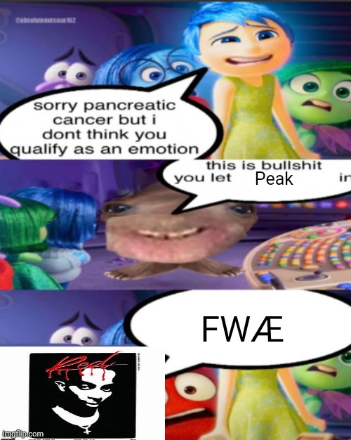 sorry pancreatic cancer but I don’t think you qualify as an emot | Peak; FWÆ | image tagged in sorry pancreatic cancer but i don t think you qualify as an emot | made w/ Imgflip meme maker