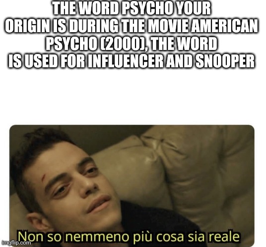 Snooper | THE WORD PSYCHO YOUR ORIGIN IS DURING THE MOVIE AMERICAN PSYCHO (2000), THE WORD IS USED FOR INFLUENCER AND SNOOPER | image tagged in non so nemmeno pi cosa sia reale | made w/ Imgflip meme maker