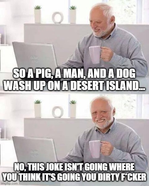 Dirty Mind | SO A PIG, A MAN, AND A DOG WASH UP ON A DESERT ISLAND... NO, THIS JOKE ISN'T GOING WHERE YOU THINK IT'S GOING YOU DIRTY F*CKER | image tagged in memes,hide the pain harold | made w/ Imgflip meme maker