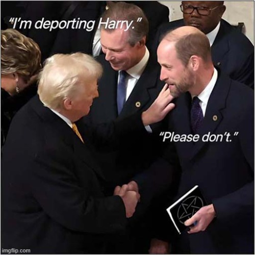 This Does Sound Credible | image tagged in trump,prince william,do not want,prince harry | made w/ Imgflip meme maker