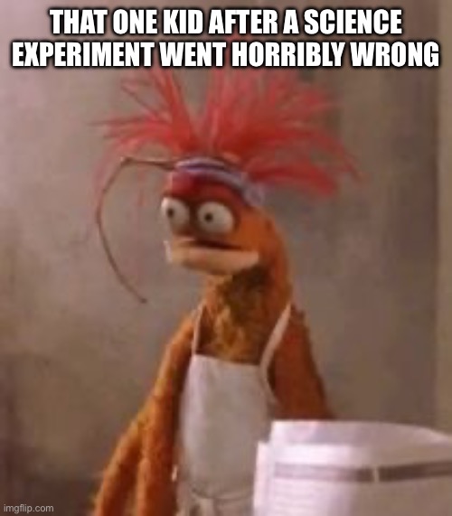 Disturbed muppet | THAT ONE KID AFTER A SCIENCE EXPERIMENT WENT HORRIBLY WRONG | image tagged in disturbed muppet,science,kids,memes | made w/ Imgflip meme maker