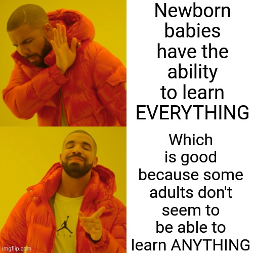 If You Get To A Point Where You Aren't Learning Something Everyday That Means You're Dead.  Call The Coroner | Newborn babies have the ability to learn EVERYTHING; Which is good because some adults don't seem to be able to learn ANYTHING | image tagged in memes,drake hotline bling,don't be stupid on purpose,don't be stupid because you're lazy,stupid people,special kind of stupid | made w/ Imgflip meme maker