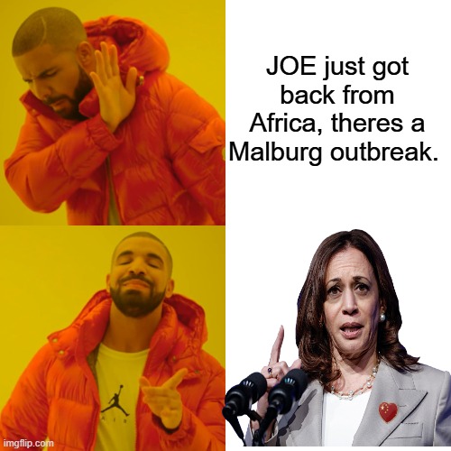 Observation is key. Critcal thinking begins there. It's like a box of chocolat's | JOE just got back from Africa, theres a Malburg outbreak. | image tagged in memes,drake hotline bling | made w/ Imgflip meme maker