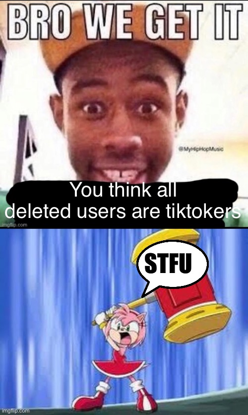 You think all deleted users are tiktokers STFU | image tagged in bro we get it blank,angry amy rose | made w/ Imgflip meme maker