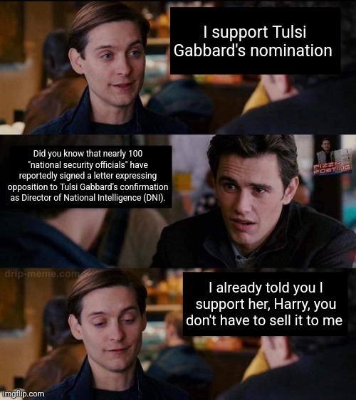 You don't need to sell me on Tulsi | I support Tulsi Gabbard's nomination; Did you know that nearly 100 "national security officials" have reportedly signed a letter expressing opposition to Tulsi Gabbard’s confirmation as Director of National Intelligence (DNI). I already told you I support her, Harry, you don't have to sell it to me | image tagged in harry you don't need to sell it to me,tulsi gabbard | made w/ Imgflip meme maker