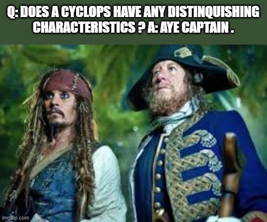 memes by Brad - Pirate Captain wants to know what Cyclops is - humor - | Q: DOES A CYCLOPS HAVE ANY DISTINQUISHING CHARACTERISTICS ? A: AYE CAPTAIN . | image tagged in funny,fun,play on words,inspiration,cyclops,humor | made w/ Imgflip meme maker