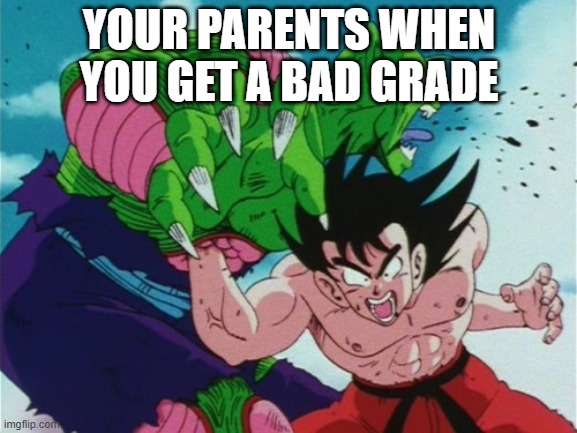 the bad grade | YOUR PARENTS WHEN YOU GET A BAD GRADE | image tagged in goku gut punch | made w/ Imgflip meme maker
