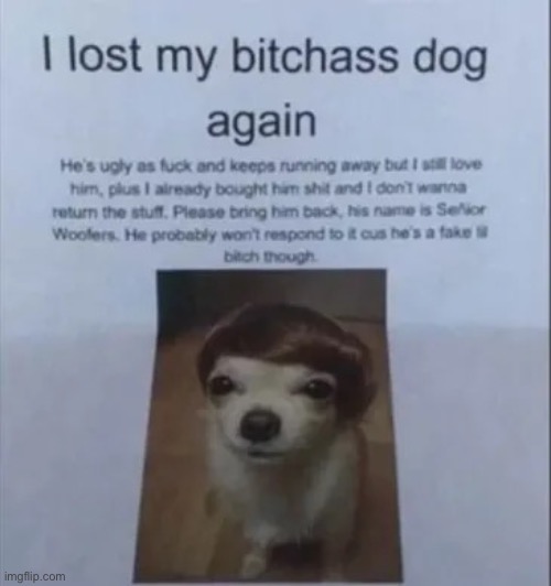 I lost my bitchass dog again | image tagged in i lost my bitchass dog again | made w/ Imgflip meme maker