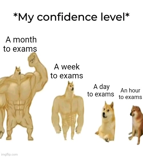 Exam mood | A month to exams; A week to exams; A day to exams; An hour to exams | image tagged in exams | made w/ Imgflip meme maker