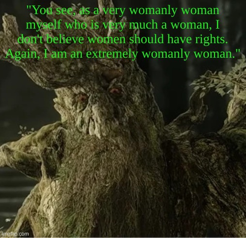 Hecate | "You see, as a very womanly woman myself who is very much a woman, I don't believe women should have rights. Again, I am an extremely womanly woman." | image tagged in hecate | made w/ Imgflip meme maker