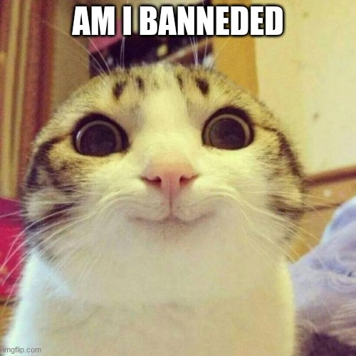 Smiling Cat | AM I BANNEDED | image tagged in memes,smiling cat | made w/ Imgflip meme maker