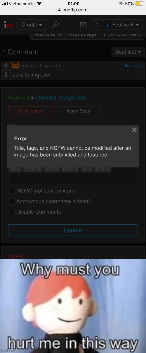 we should be able to modify our posts' titles, tags, and nsfw on streams we dont moderate. | image tagged in why must you hurt me in this way | made w/ Imgflip meme maker