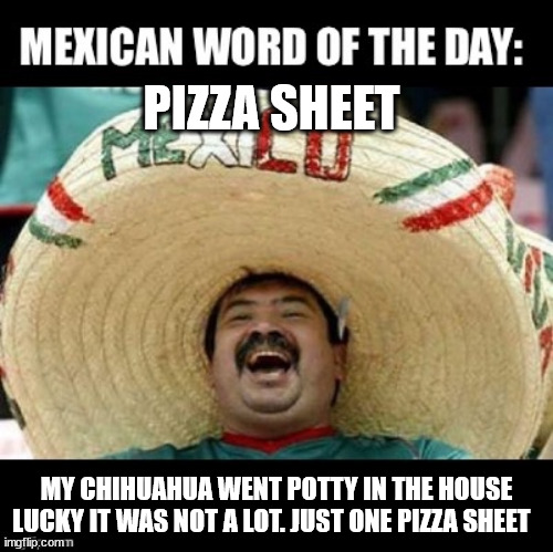 MEXICAN WORD OF THE DAY | PIZZA SHEET; MY CHIHUAHUA WENT POTTY IN THE HOUSE
LUCKY IT WAS NOT A LOT. JUST ONE PIZZA SHEET | image tagged in mexican word of the day large | made w/ Imgflip meme maker