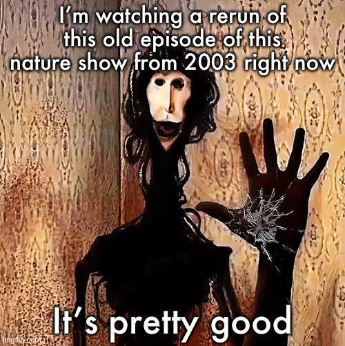 Loucust | I’m watching a rerun of this old episode of this nature show from 2003 right now; It’s pretty good | image tagged in loucust | made w/ Imgflip meme maker