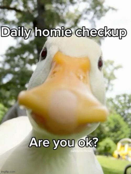 Hello bro | image tagged in hello bro | made w/ Imgflip meme maker