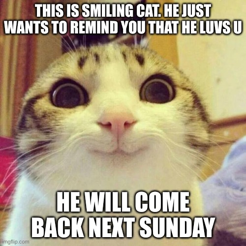 kitty kat | THIS IS SMILING CAT. HE JUST WANTS TO REMIND YOU THAT HE LUVS U; HE WILL COME BACK NEXT SUNDAY | image tagged in memes,smiling cat | made w/ Imgflip meme maker