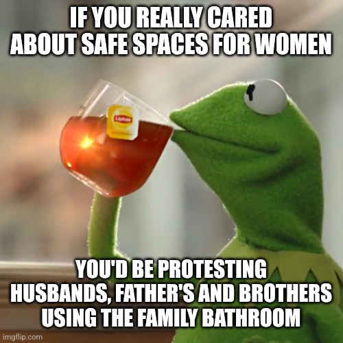 But That's None Of My Business | IF YOU REALLY CARED ABOUT SAFE SPACES FOR WOMEN; YOU'D BE PROTESTING HUSBANDS, FATHER'S AND BROTHERS USING THE FAMILY BATHROOM | image tagged in but that's none of my business,kermit the frog,transphobic,protest,transgender bathroom,bathroom | made w/ Imgflip meme maker