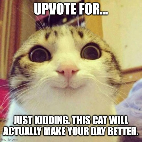 Cat go meow | UPVOTE FOR... JUST KIDDING. THIS CAT WILL ACTUALLY MAKE YOUR DAY BETTER. | image tagged in memes,smiling cat,why are you reading this,funny | made w/ Imgflip meme maker