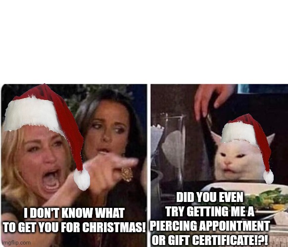 Christmas piercing | DID YOU EVEN TRY GETTING ME A PIERCING APPOINTMENT OR GIFT CERTIFICATE!?! I DON'T KNOW WHAT TO GET YOU FOR CHRISTMAS! | image tagged in lady screams at cat | made w/ Imgflip meme maker