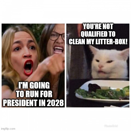 AOC vs Smudge | YOU'RE NOT QUALIFIED TO CLEAN MY LITTER-BOX! I'M GOING TO RUN FOR PRESIDENT IN 2028 | image tagged in aoc,smudge the cat,memes,trump,president,democrat | made w/ Imgflip meme maker