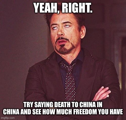 Robert Downey Jr Annoyed | YEAH, RIGHT. TRY SAYING DEATH TO CHINA IN CHINA AND SEE HOW MUCH FREEDOM YOU HAVE | image tagged in robert downey jr annoyed | made w/ Imgflip meme maker