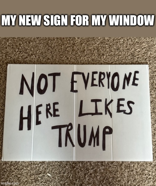 Mhm (Ade: W) | MY NEW SIGN FOR MY WINDOW | image tagged in idk | made w/ Imgflip meme maker