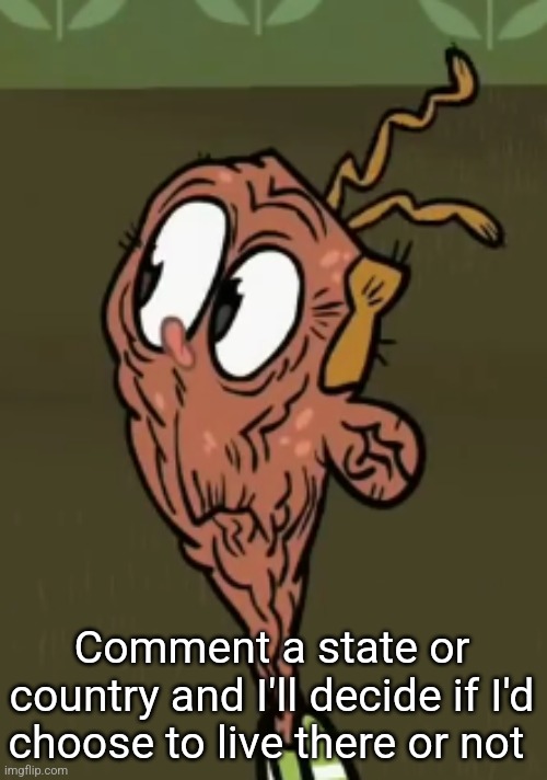 two shoes wild | Comment a state or country and I'll decide if I'd choose to live there or not | image tagged in two shoes wild | made w/ Imgflip meme maker