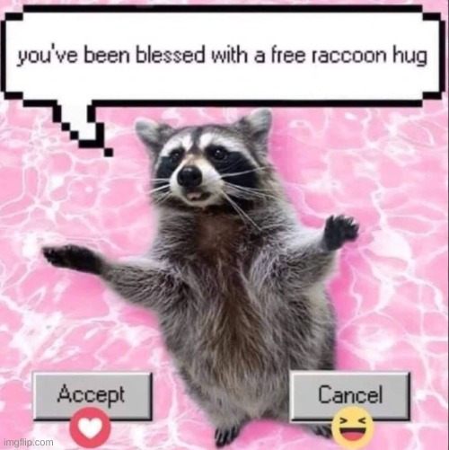 @everyone | image tagged in raccoon hug,yippee,x3,hug | made w/ Imgflip meme maker