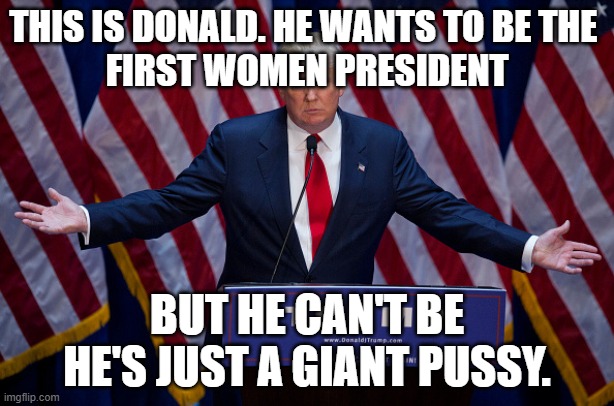 Donald Trump | THIS IS DONALD. HE WANTS TO BE THE 
FIRST WOMEN PRESIDENT; BUT HE CAN'T BE HE'S JUST A GIANT PUSSY. | image tagged in donald trump | made w/ Imgflip meme maker