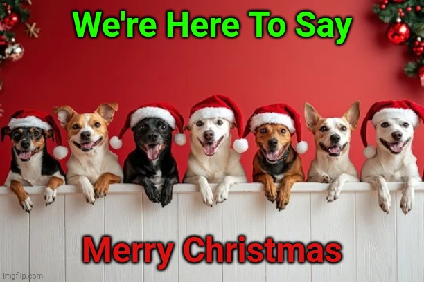 Just in case you had a 'Ruff Weekend' | We're Here To Say; Merry Christmas | image tagged in memes,dogs,merry christmas,animals | made w/ Imgflip meme maker