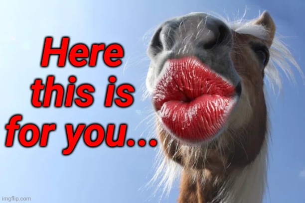 To help start off your week | Here this is for you... | image tagged in memes,animals,horse,kisses,new week | made w/ Imgflip meme maker