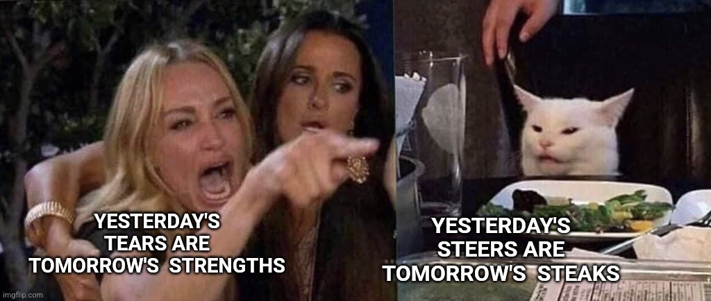 woman yelling at cat | YESTERDAY'S TEARS ARE TOMORROW'S  STRENGTHS; YESTERDAY'S STEERS ARE TOMORROW'S  STEAKS | image tagged in woman yelling at cat,fear,strength,steak | made w/ Imgflip meme maker