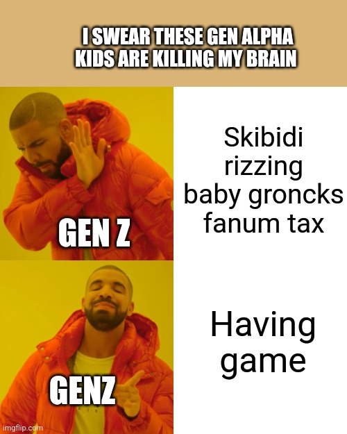 Drake Hotline Bling | I SWEAR THESE GEN ALPHA KIDS ARE KILLING MY BRAIN; Skibidi rizzing baby groncks fanum tax; GEN Z; Having game; GENZ | image tagged in memes,drake hotline bling | made w/ Imgflip meme maker