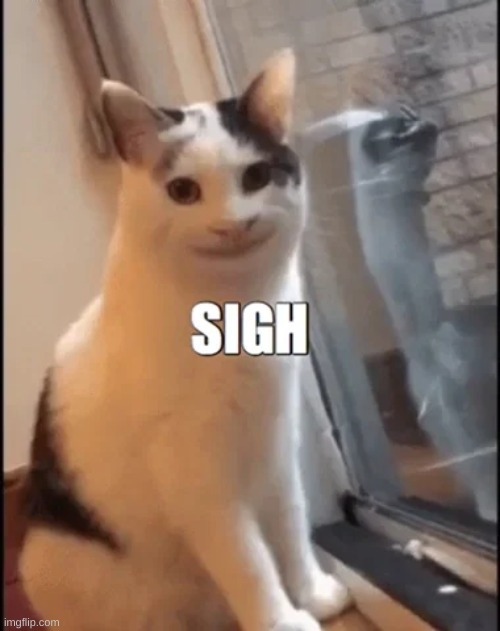 Funny cat be like | image tagged in kitty,sigh | made w/ Imgflip meme maker