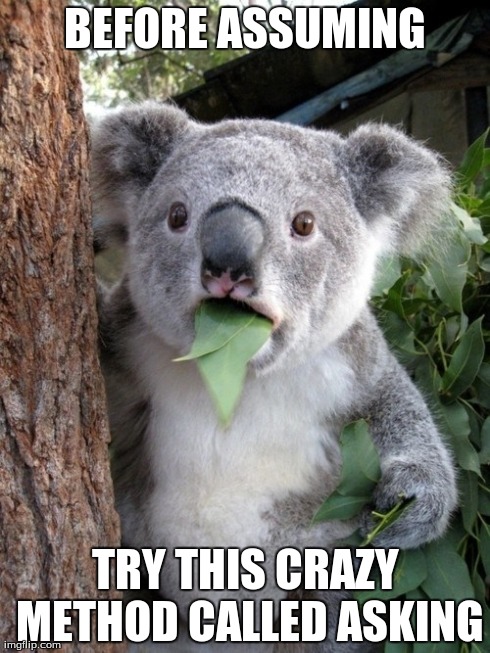Surprised Koala | BEFORE ASSUMING TRY THIS CRAZY METHOD CALLED ASKING | image tagged in memes,surprised coala | made w/ Imgflip meme maker