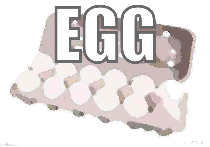 Dozen eggs | EGG | image tagged in dozen eggs | made w/ Imgflip meme maker