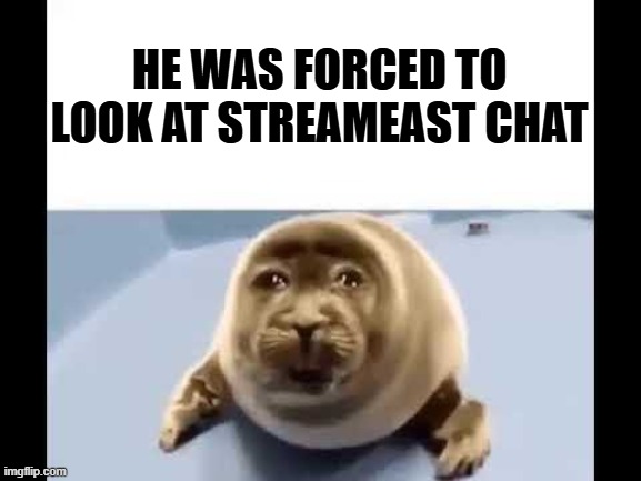 he was forced to eat cement | HE WAS FORCED TO LOOK AT STREAMEAST CHAT | image tagged in he was forced to eat cement | made w/ Imgflip meme maker