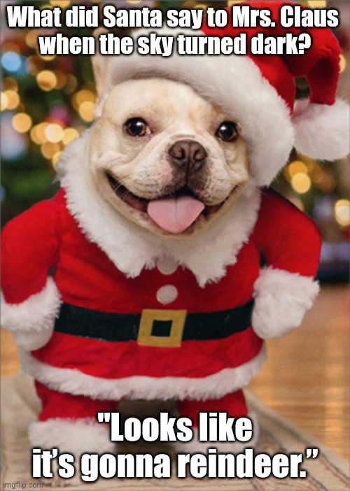 Santa Dog Lol | What did Santa say to Mrs. Claus 
when the sky turned dark? "Looks like it’s gonna reindeer.” | image tagged in christmas doggy,santa,dog,funny,memes | made w/ Imgflip meme maker