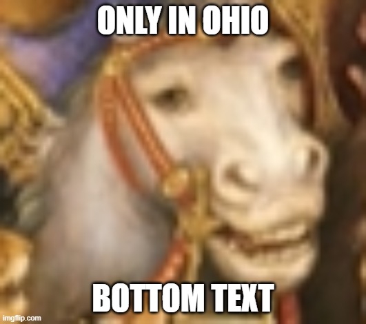 BRO THIS IS SO CURSED | ONLY IN OHIO; BOTTOM TEXT | image tagged in only in ohio,cursed paintings,horse | made w/ Imgflip meme maker