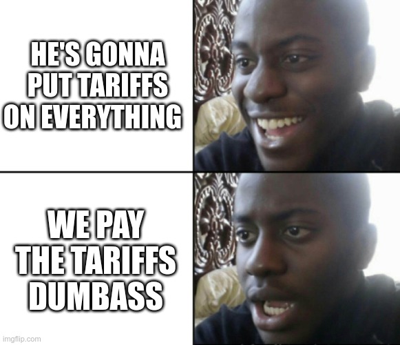 Dumbass | HE'S GONNA PUT TARIFFS ON EVERYTHING; WE PAY THE TARIFFS DUMBASS | image tagged in trump,republicans,gop,fascists,morons,fools | made w/ Imgflip meme maker