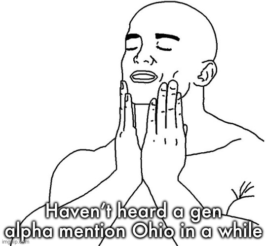 The world is healing | Haven’t heard a gen alpha mention Ohio in a while | image tagged in satisfaction | made w/ Imgflip meme maker