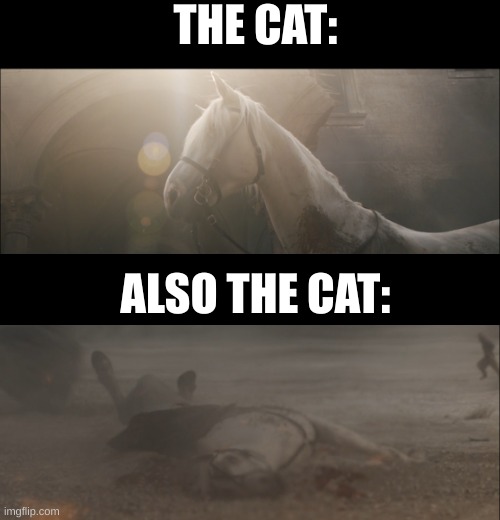 dead and alive horse | THE CAT: ALSO THE CAT: | image tagged in dead and alive horse | made w/ Imgflip meme maker