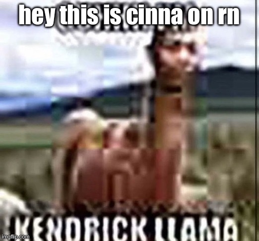 kendrick llama | hey this is cinna on rn | image tagged in kendrick llama | made w/ Imgflip meme maker