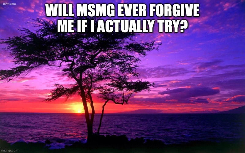 Sunrise purple beauty | WILL MSMG EVER FORGIVE ME IF I ACTUALLY TRY? | image tagged in sunrise purple beauty | made w/ Imgflip meme maker