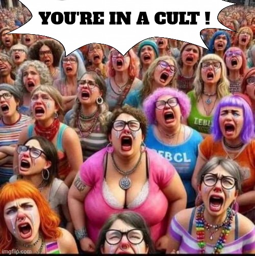 YOU'RE IN A CULT ! | made w/ Imgflip meme maker